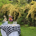 Champagne Glasses with Ice bucket filled with champage bottles on a table with white cloth and black and white checkered overlay - green grass with yellow lady roses to the right of the photo frame