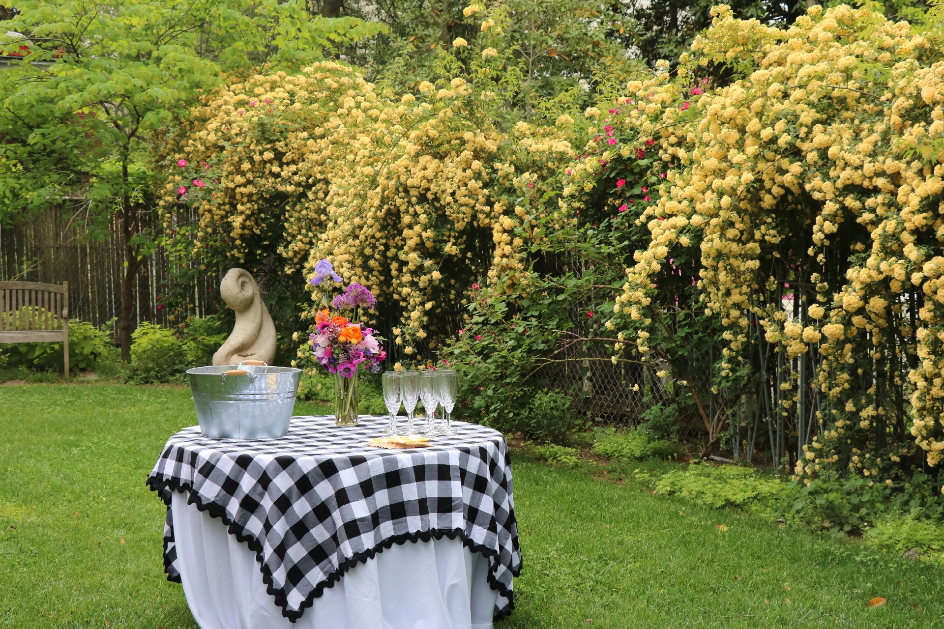 Champagne Glasses with Ice bucket filled with champage bottles on a table with white cloth and black and white checkered overlay - green grass with yellow lady roses to the right of the photo frame