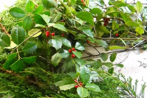 Close up of a holly wreath on a table