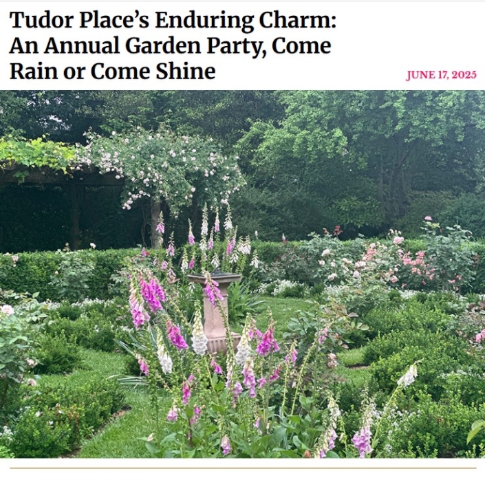 New York Social Diary_06.17.25 Close up of flowers in the Box Knot for the New York Social Diary